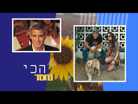 מנגנים