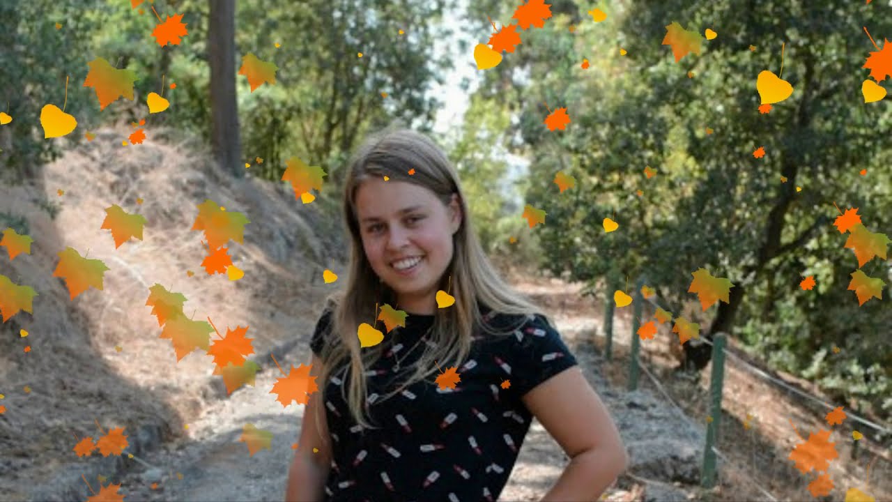 מנגנים